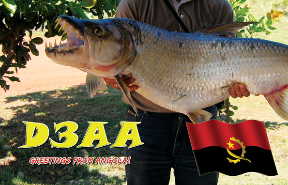 Angola D3AA QSL