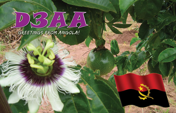 Angola D3AA QSL 2 
