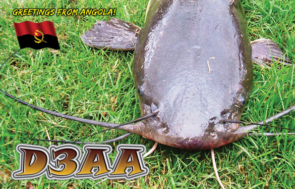 Angola D3AA QSL 80m 