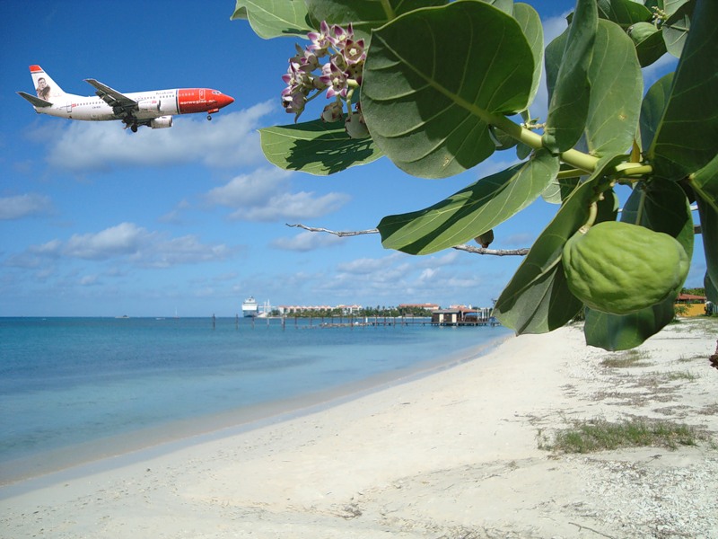 Aruba P4/ON4QX DX News