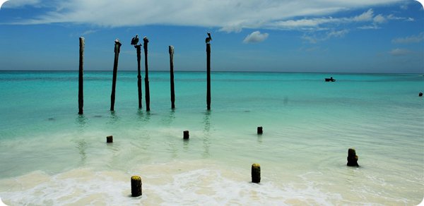 Aruba P49Y 2012