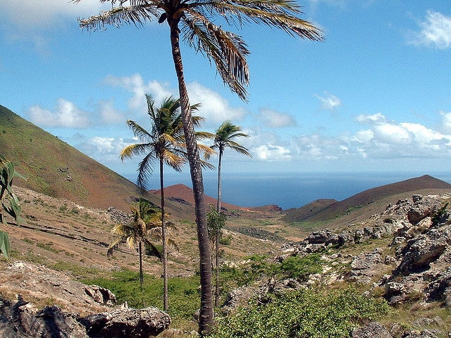 Ascension Island ZD8XF DX News