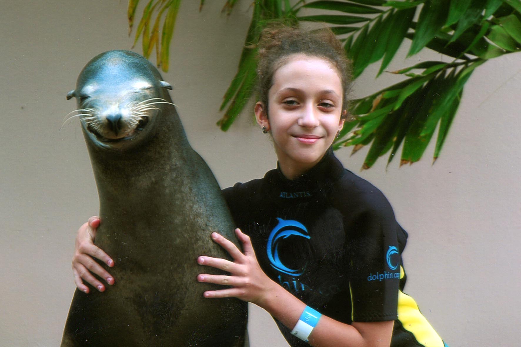 Bahamas Sea Lion Nassau Paradise Island Hotel Atlantis Maria Teimurazova
