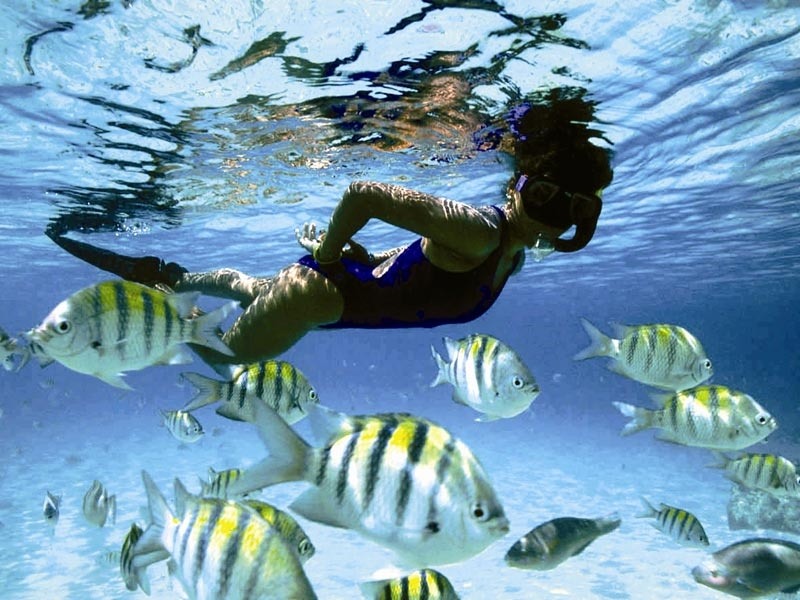 Barbados 8P5A Tourist Attractions