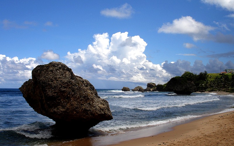 Barbados Tourism Beach 8P5A