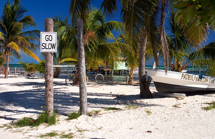 Belize V31IZ