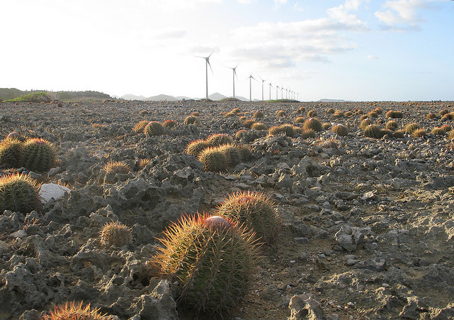 Bonaire Island PJ4/LY9Y