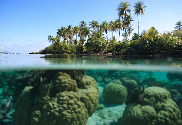 Bora Bora Island French Polynesia FO/HB9STJ DX News