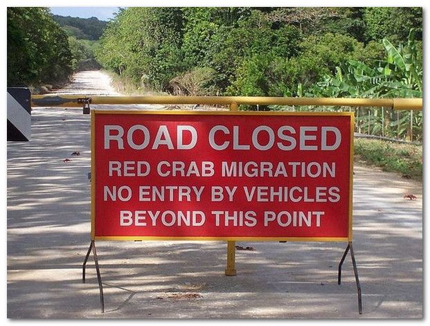 Christmas Island VK9X/N7QT