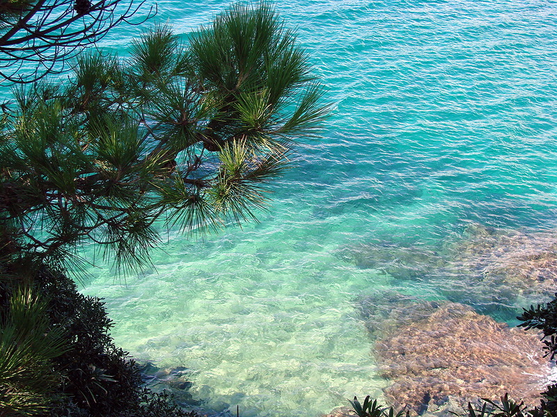 Corsica Island TK/IW5ELA DX News