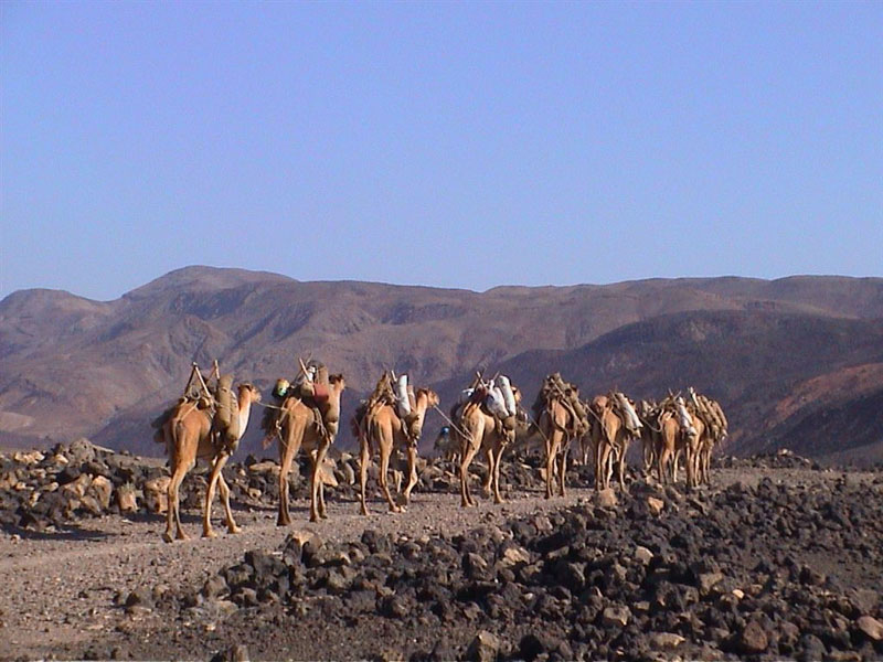 Djibouti J28UC DX News
