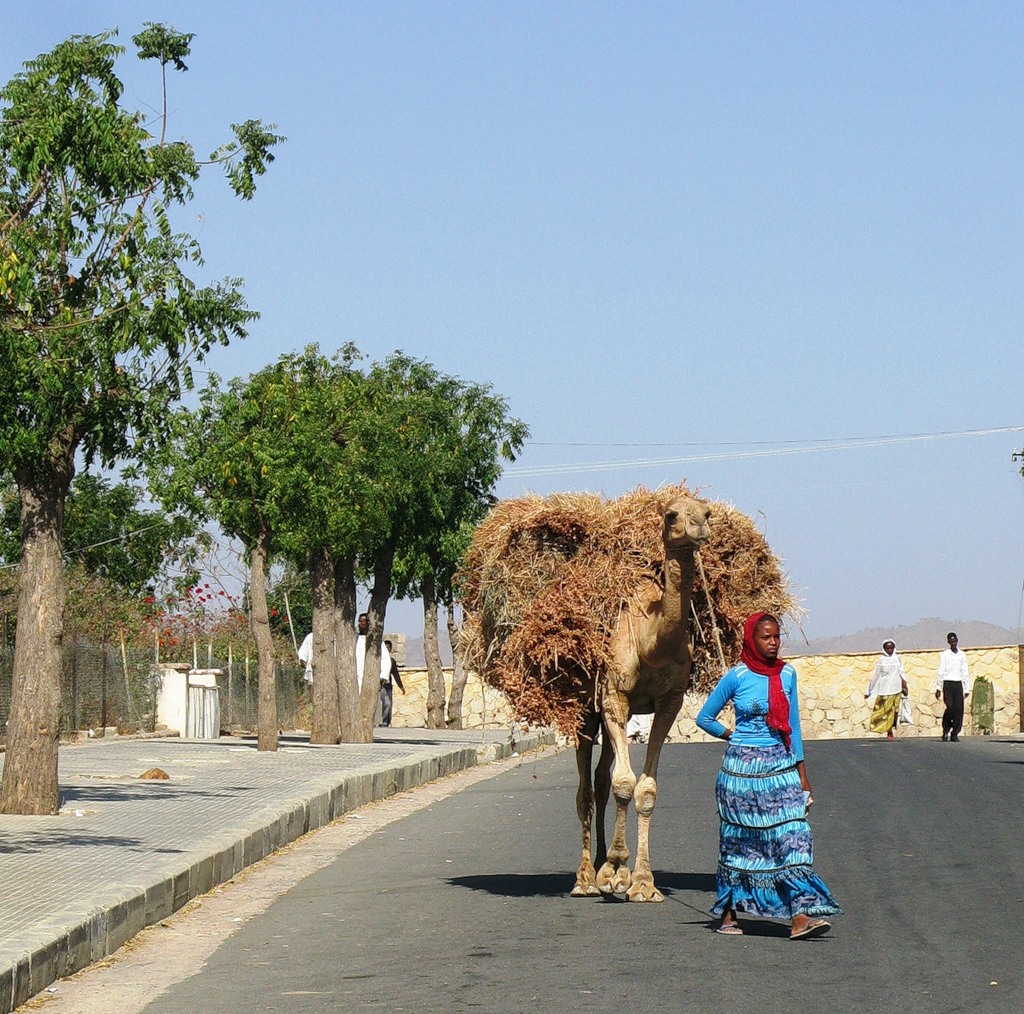Eritrea E35X