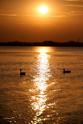 Fehmarn Island DF8HS/P