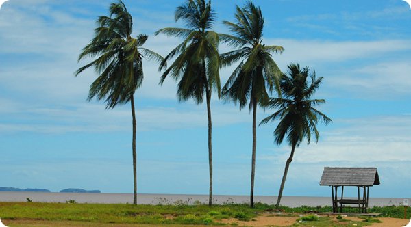 French Guiana TO1A