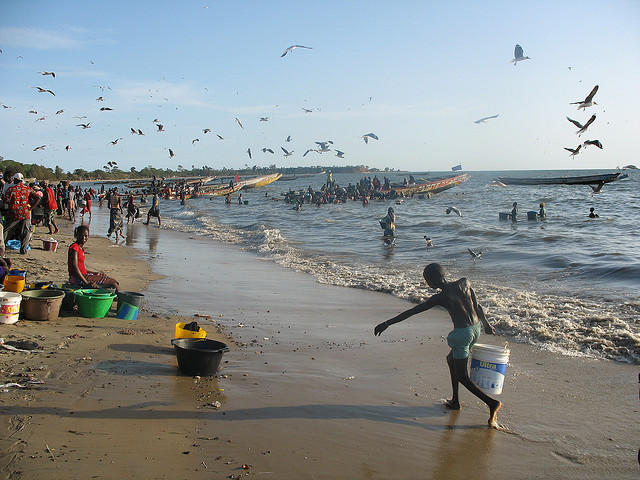 Gambia C56AVT Fish Market C5AVT