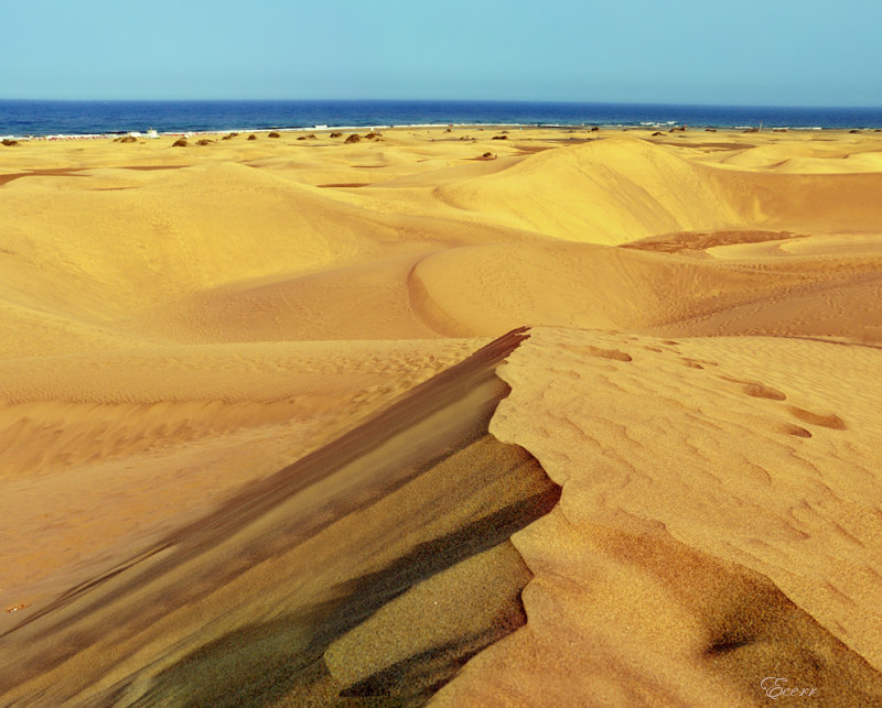Gran Canaria Island EF8U