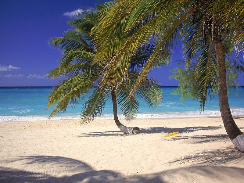 Grand Cayman Island Sevel Mile Beach ZF2LL Cayman Islands