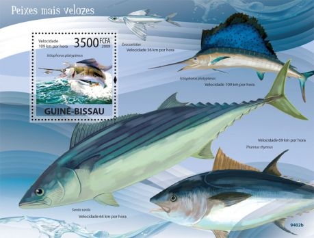 Guinea Bissau J52EME J52HF DX News Stamp