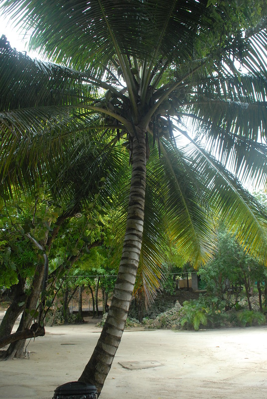Honduras HQ2N