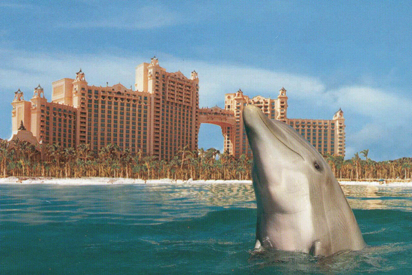 Inside the Atlantis Paradise Island Resort in the Bahamas! 