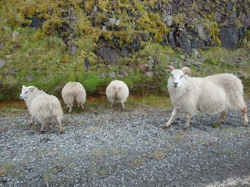 Iceland TF/SM7RYR/P