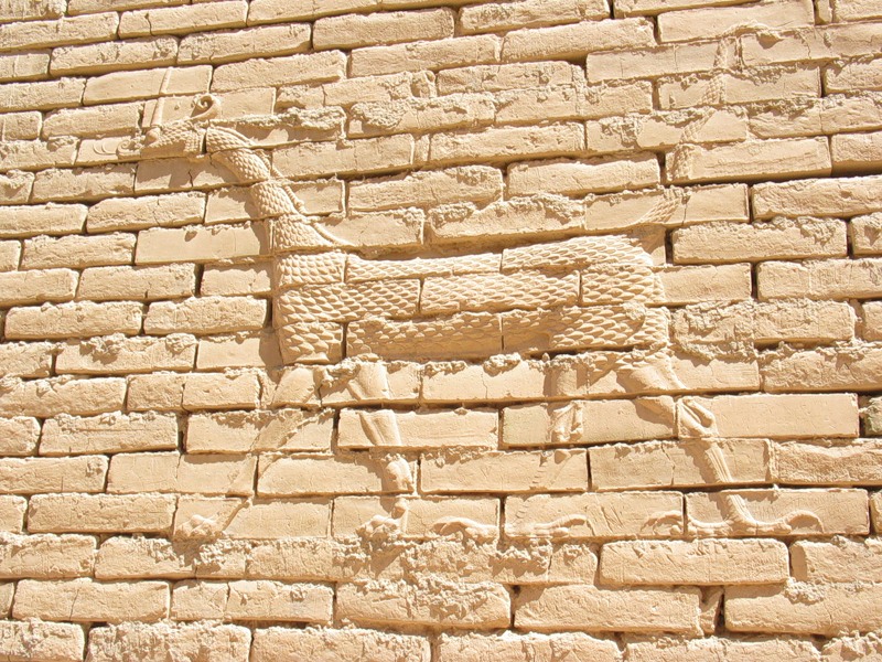 Iraq YI9EO DX News