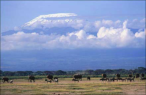 Kenya 5Z4/IZ4AKS Kilimandjaro