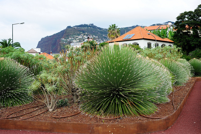 Madeira Island CT9/DL3KWR CT9/DL3KWF 