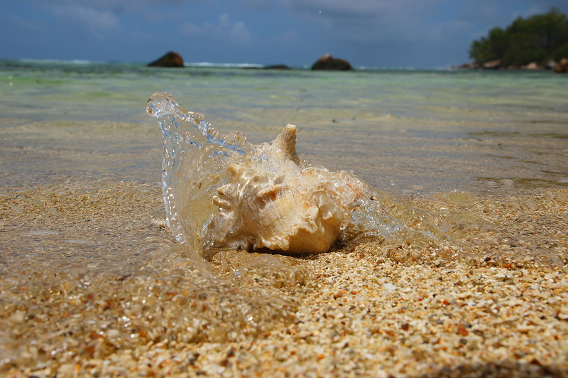 Mahe Island Seychelles Islands S79RR DX News