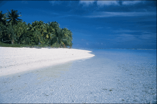 Manihi Island FO/JA3EZJ