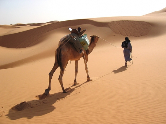 Mauritania 5T0SP