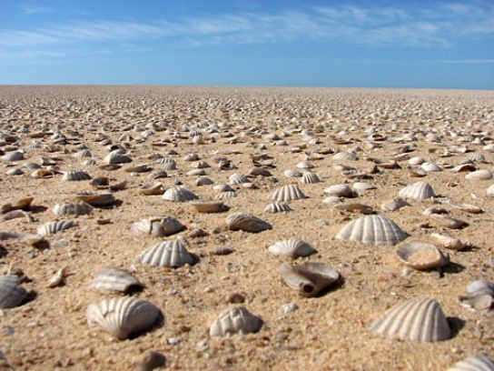 Mauritania 5T0SP DX News