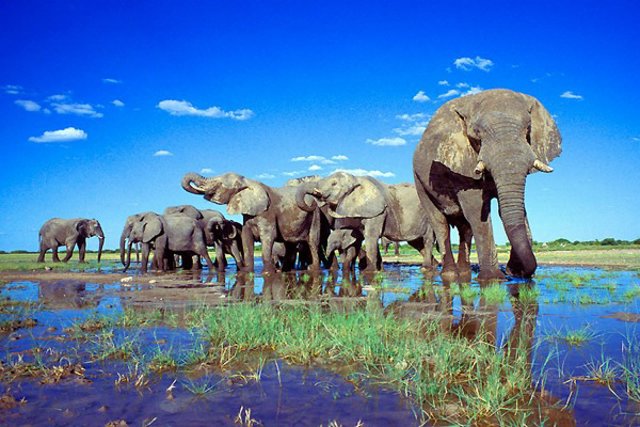 Namibia V5/DF2UU V55V/P V55V DX News