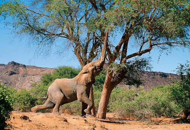 Namibia V5/F5JWH