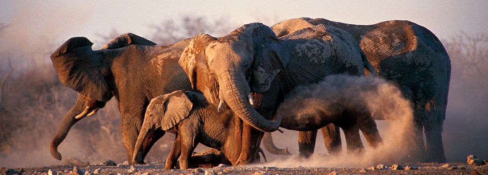 Namibia V5/F5JWH DX News