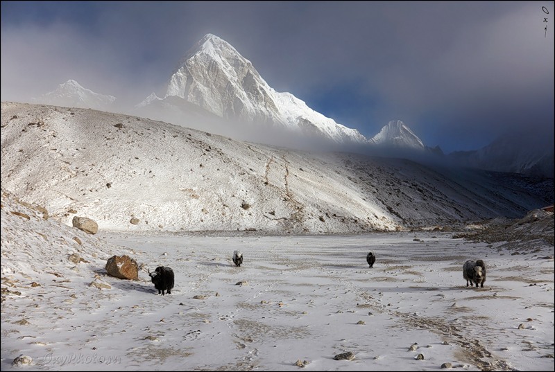 Nepal 9N7MD DX News