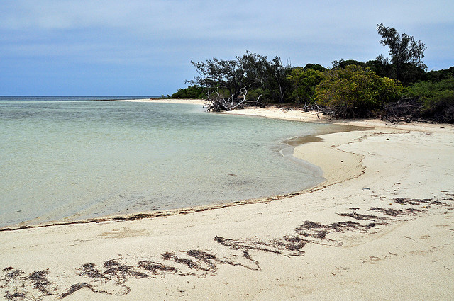 New Caledonia TX5CW DX News