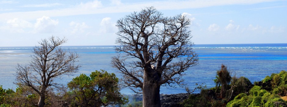 Ngazidja Island Comoros Islands D64K