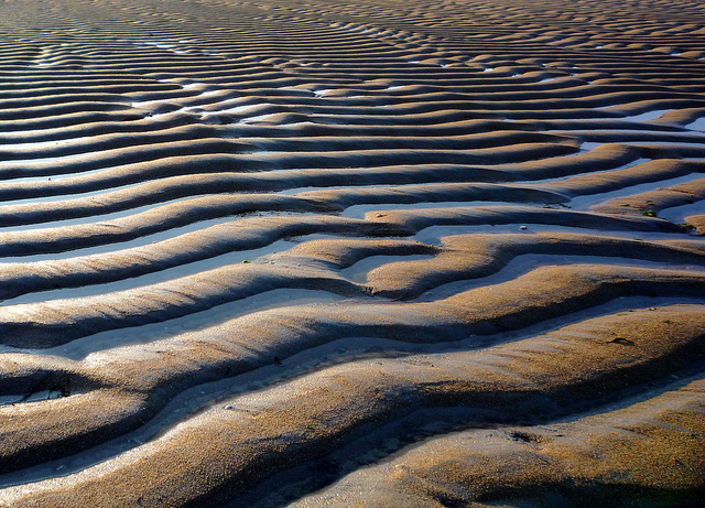 Noirmoutier Island TM1NOI
