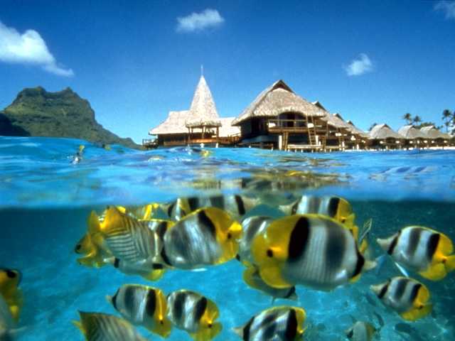 Palau Islands T88YT