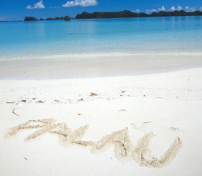 Palau Islands T88YT DX News