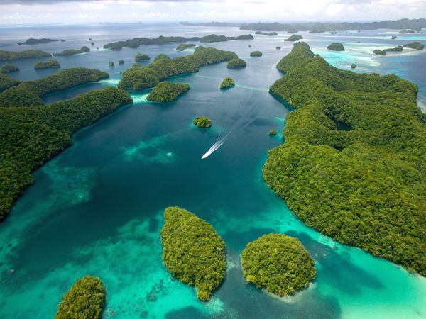 Palau T88XG T88XH DX News