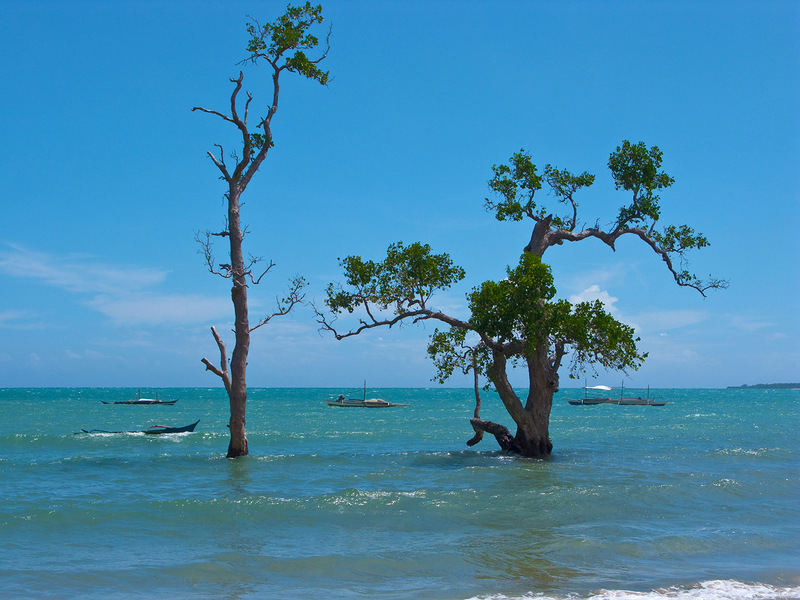 Palawan Island DU1/K6ZRH DX News
