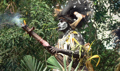 Papua New Guinea P29FM