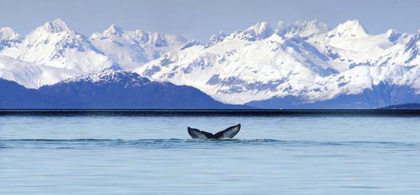 Pleasant Island Alaska DX News