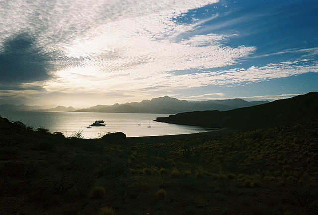 San Francisco Island XF1F DX News