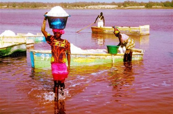 Senegal 6V7Z 2012 Lac Rose