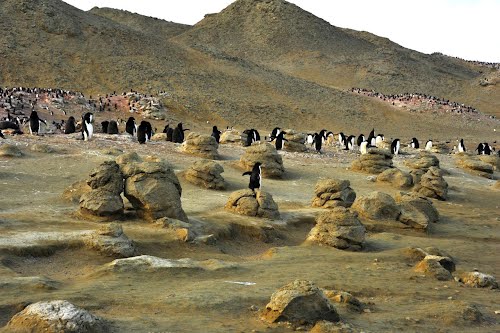 Seymour Island Antarctica LU4ZS Marambio Base