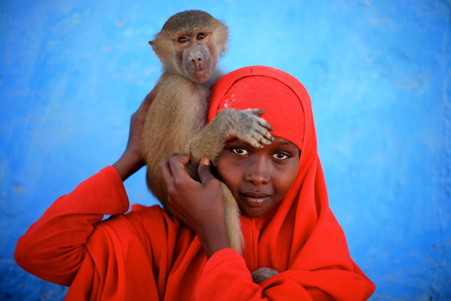 Somaliland 6O3A DX News