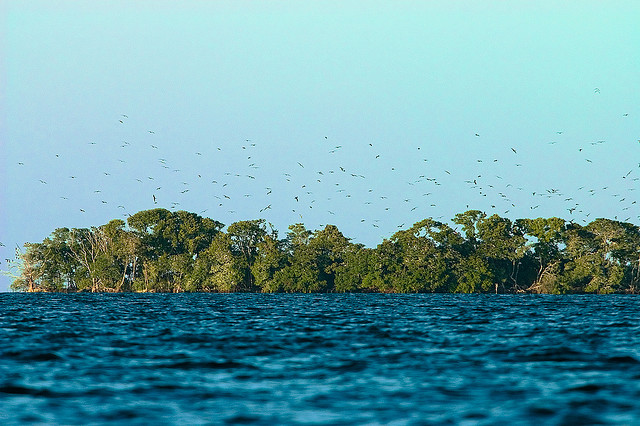 South Water Caye Island V31JZ/P Belize DX News